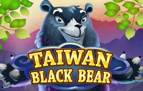 Taiwan Black Bear